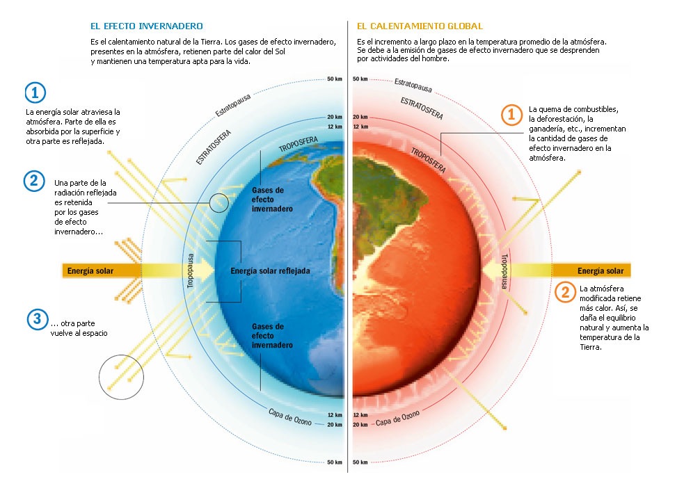 Mercado de carbono y el calentamiento global   M r T r a d e r