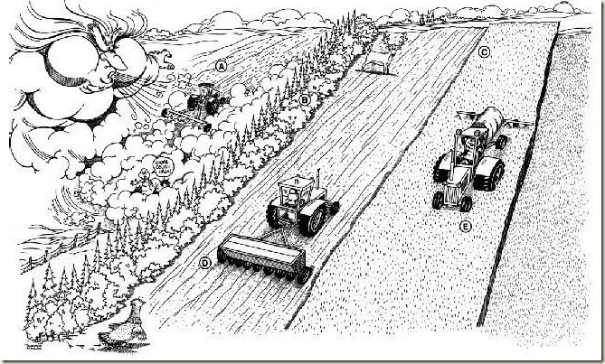 Barrera rompe viento